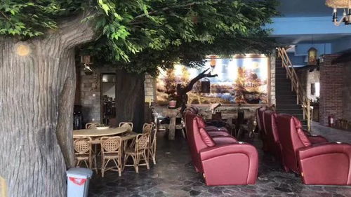 农家乐成春节假期疆内游亮点，旅游接待与消费创历史新高