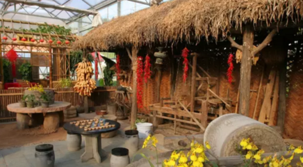 农家乐吸引游客的秘籍 探寻休闲农业的成功之道