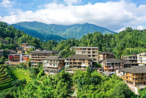 从农家乐到精品民宿 乡村振兴的华丽转身