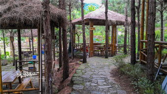 航拍探秘防城白马山庄 夏日避暑与田园休闲的理想之地